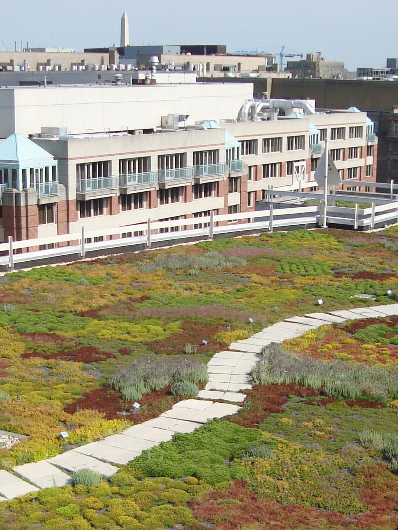 World Wide Fund for Nature Headquarters