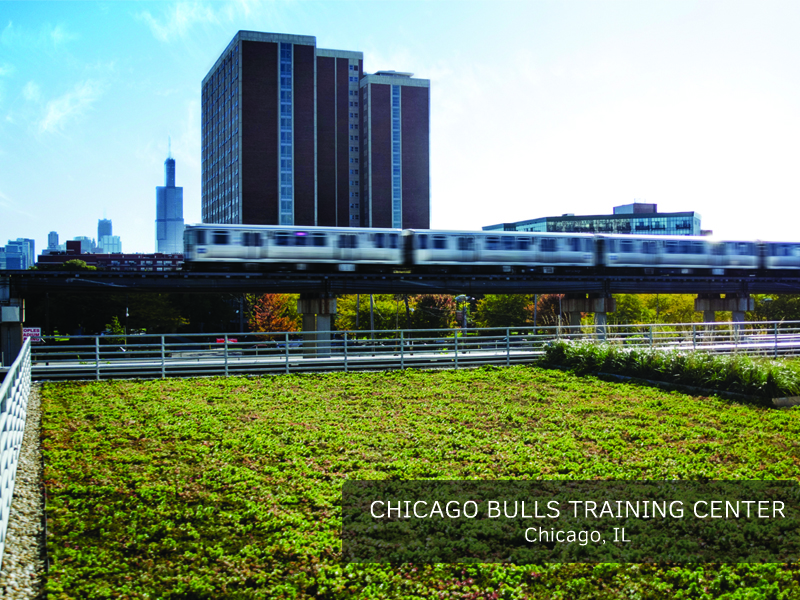 Advocate Center - Chicago Bulls Training Facility