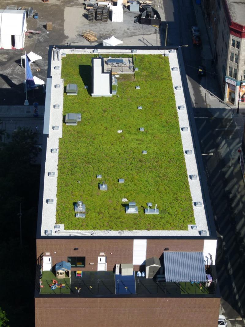 Center for Sustainable Development