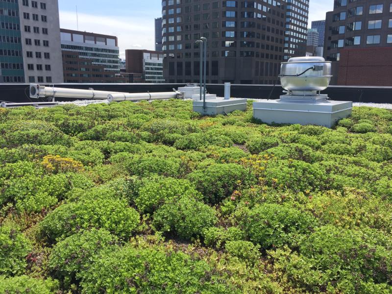 Center for Sustainable Development