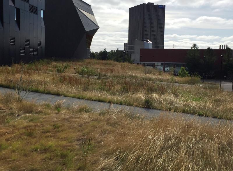 Perimeter Institute for Theoretical Physics