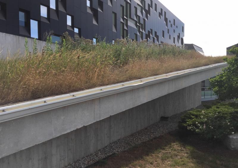 Perimeter Institute for Theoretical Physics