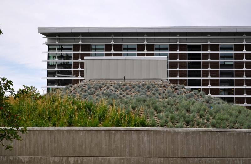 Thompson Rivers University