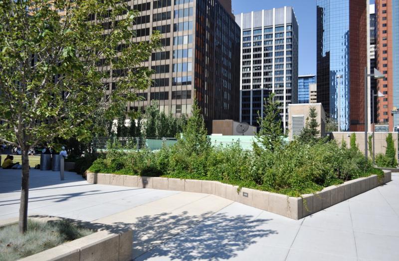 Courthouse Park
