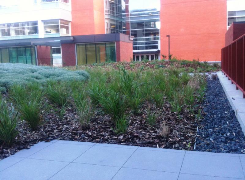 Centennial Centre for Interdisciplinary Services