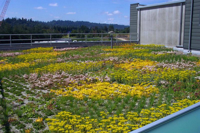 Tri-City Wastewater 